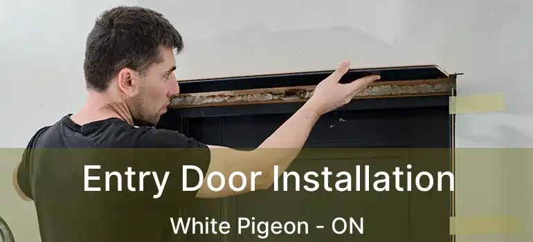  Entry Door Installation White Pigeon - ON