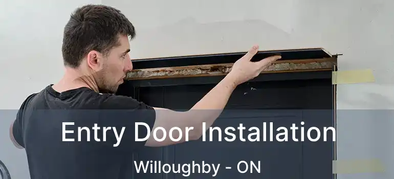  Entry Door Installation Willoughby - ON