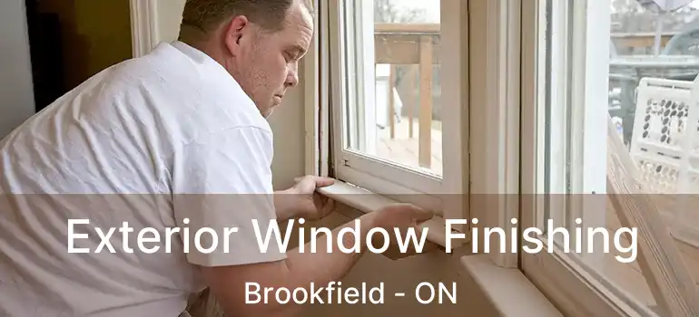  Exterior Window Finishing Brookfield - ON