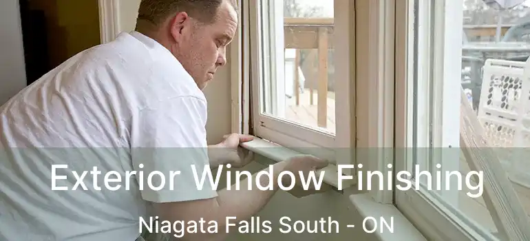  Exterior Window Finishing Niagata Falls South - ON