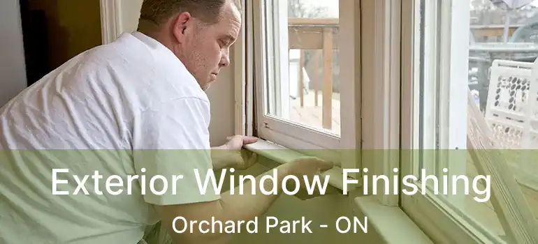  Exterior Window Finishing Orchard Park - ON