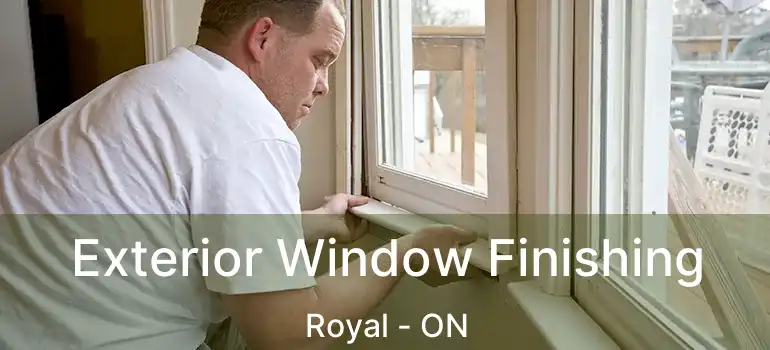  Exterior Window Finishing Royal - ON