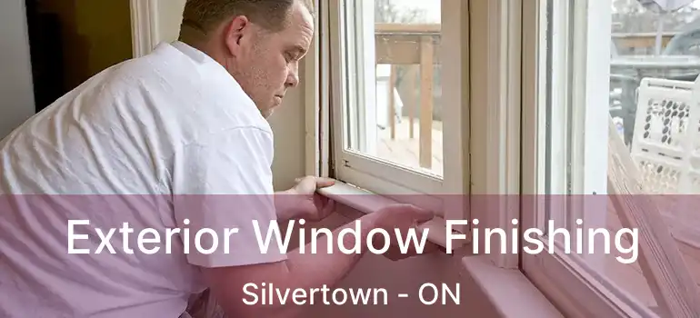  Exterior Window Finishing Silvertown - ON