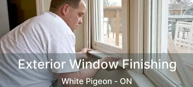  Exterior Window Finishing White Pigeon - ON