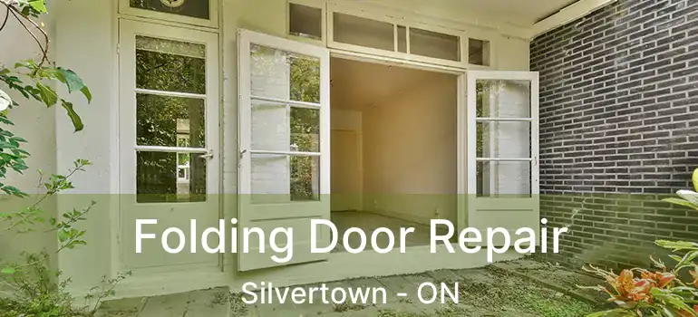  Folding Door Repair Silvertown - ON