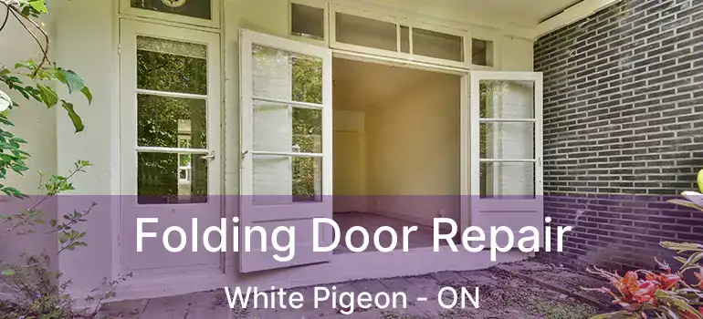  Folding Door Repair White Pigeon - ON