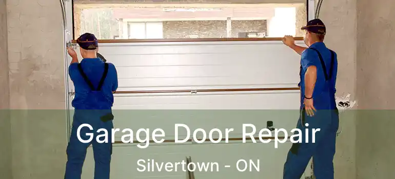  Garage Door Repair Silvertown - ON