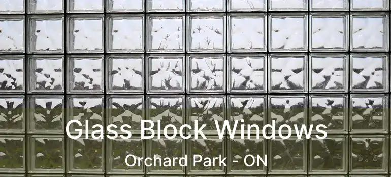  Glass Block Windows Orchard Park - ON