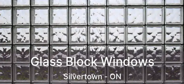  Glass Block Windows Silvertown - ON