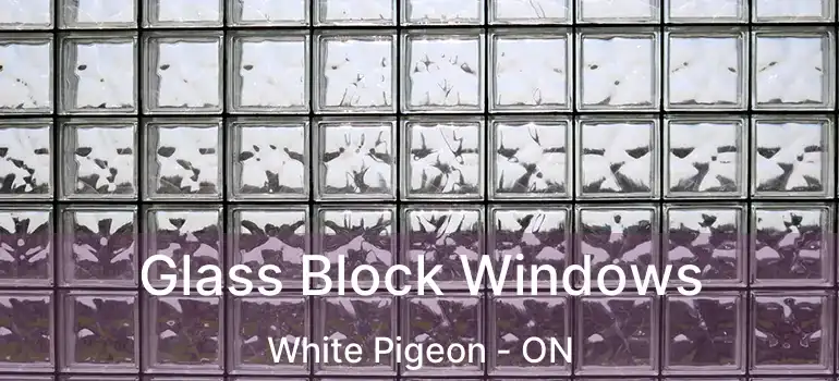  Glass Block Windows White Pigeon - ON