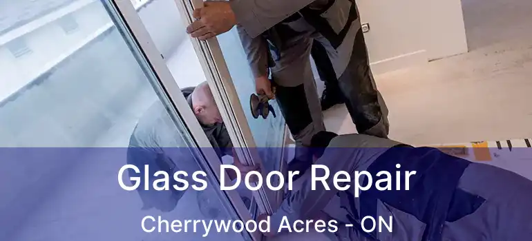  Glass Door Repair Cherrywood Acres - ON