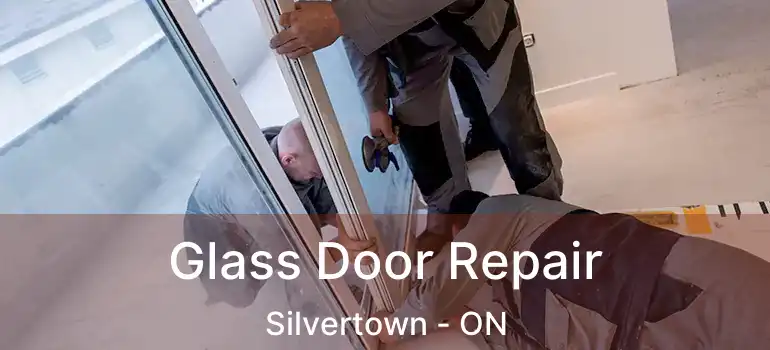  Glass Door Repair Silvertown - ON