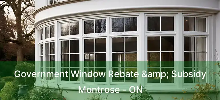  Government Window Rebate & Subsidy Montrose - ON