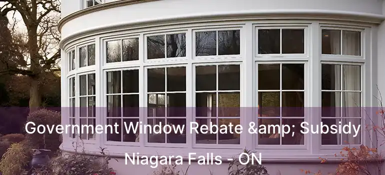  Government Window Rebate & Subsidy Niagara Falls - ON