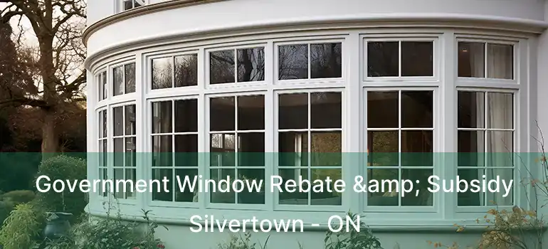  Government Window Rebate & Subsidy Silvertown - ON