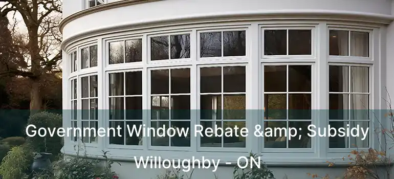  Government Window Rebate & Subsidy Willoughby - ON