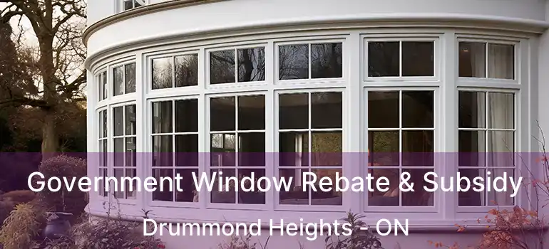Government Window Rebate & Subsidy Drummond Heights - ON
