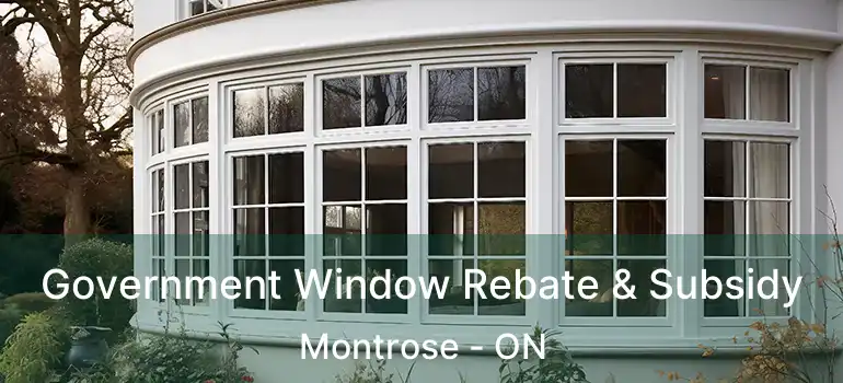 Government Window Rebate & Subsidy Montrose - ON