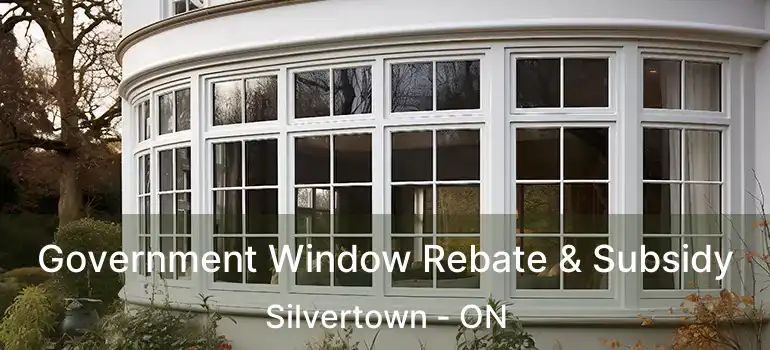 Government Window Rebate & Subsidy Silvertown - ON