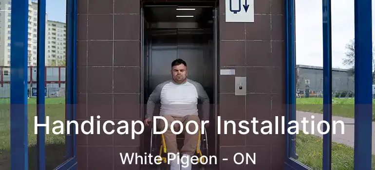  Handicap Door Installation White Pigeon - ON