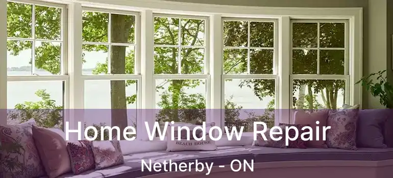  Home Window Repair Netherby - ON