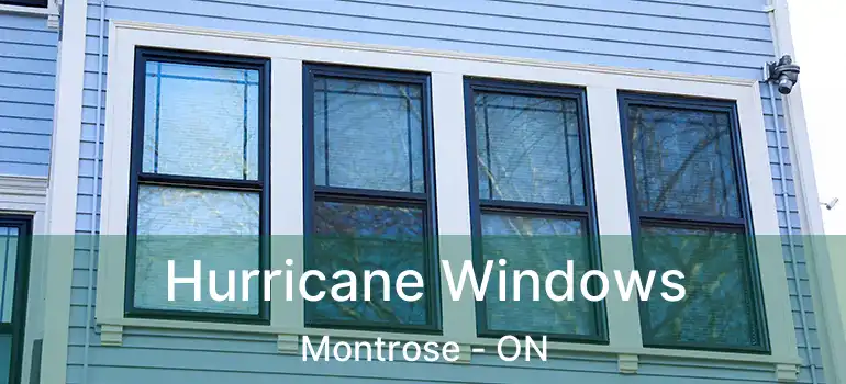  Hurricane Windows Montrose - ON