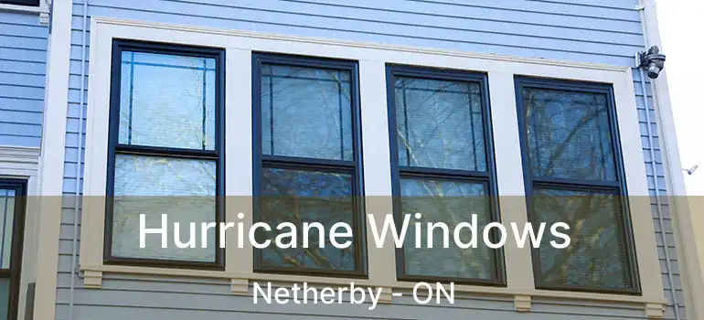  Hurricane Windows Netherby - ON