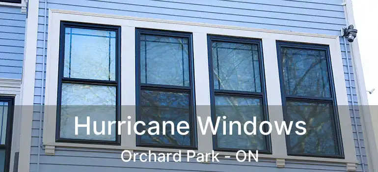  Hurricane Windows Orchard Park - ON