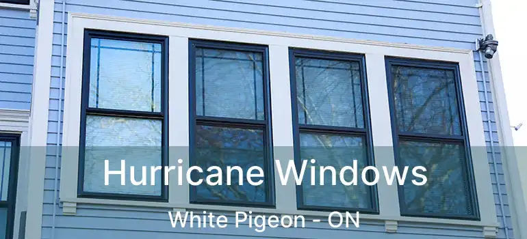  Hurricane Windows White Pigeon - ON