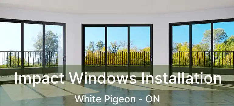  Impact Windows Installation White Pigeon - ON