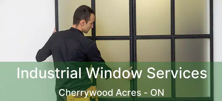  Industrial Window Services Cherrywood Acres - ON