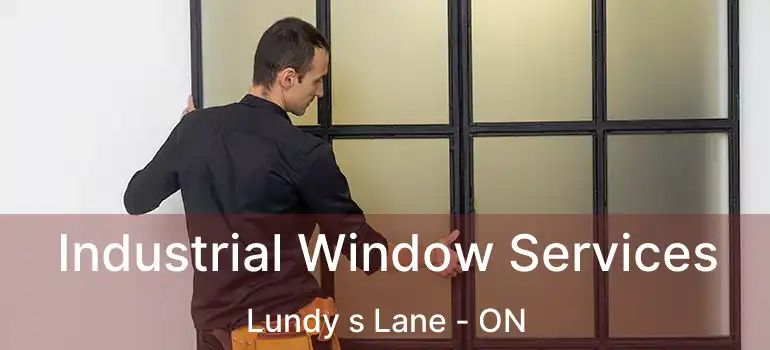  Industrial Window Services Lundy s Lane - ON