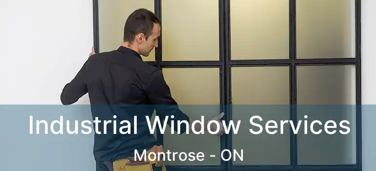  Industrial Window Services Montrose - ON