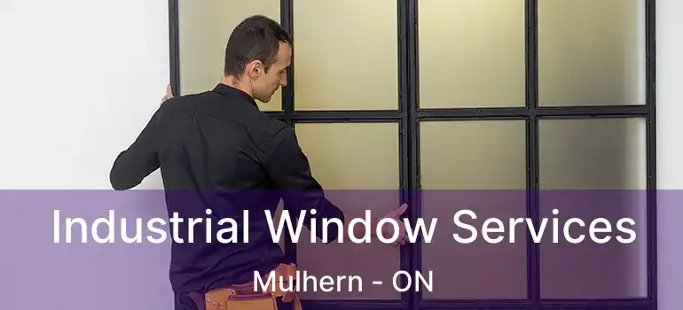  Industrial Window Services Mulhern - ON