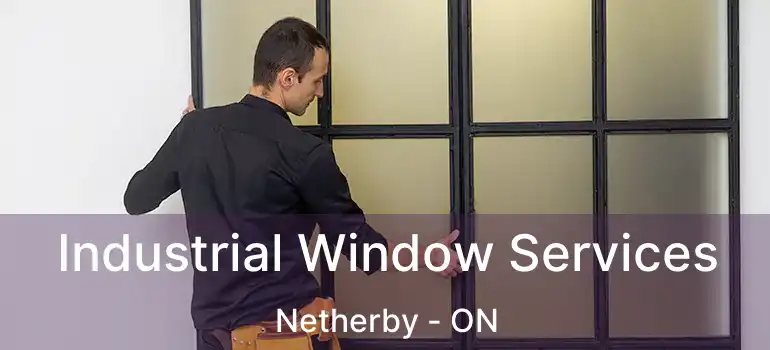  Industrial Window Services Netherby - ON