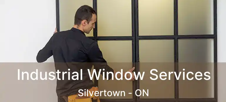  Industrial Window Services Silvertown - ON