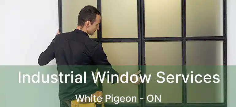  Industrial Window Services White Pigeon - ON