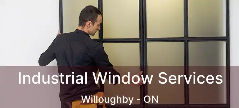  Industrial Window Services Willoughby - ON