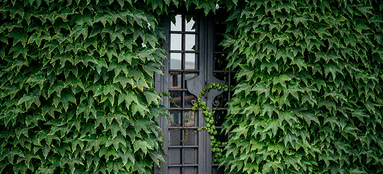 Garden Gate Repair in Niagara Falls, ON