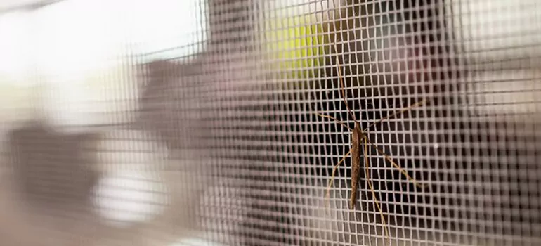 Repair Mosquito Mesh For Windows in Niagara Falls, Ontario