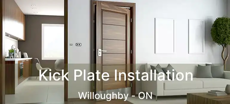  Kick Plate Installation Willoughby - ON