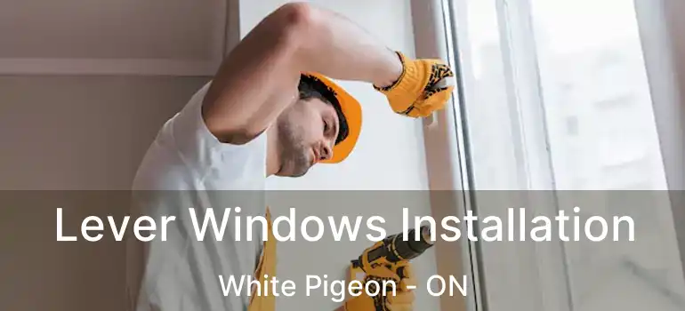  Lever Windows Installation White Pigeon - ON