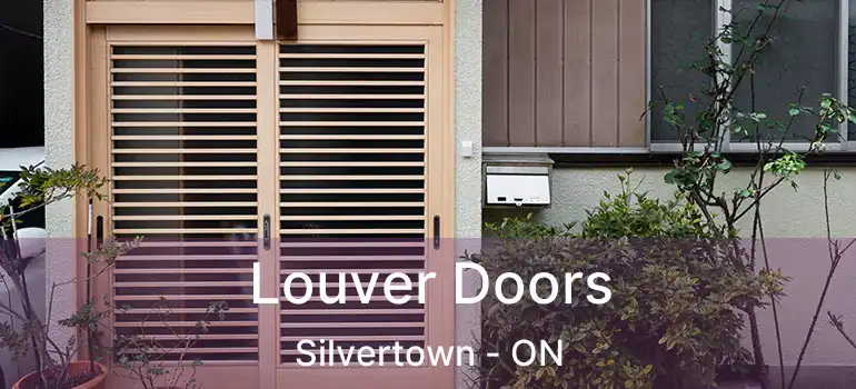  Louver Doors Silvertown - ON