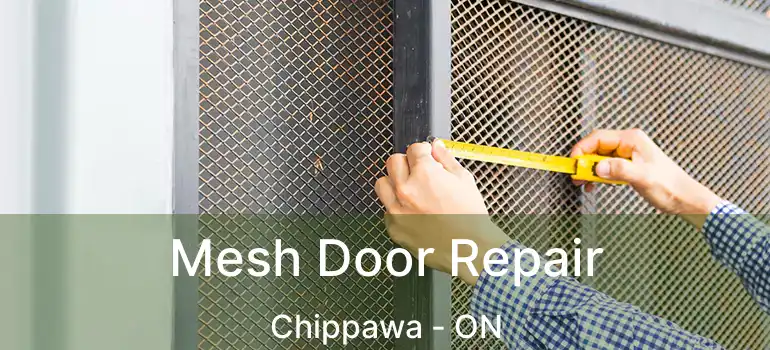  Mesh Door Repair Chippawa - ON