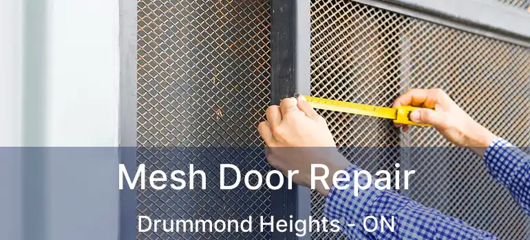  Mesh Door Repair Drummond Heights - ON