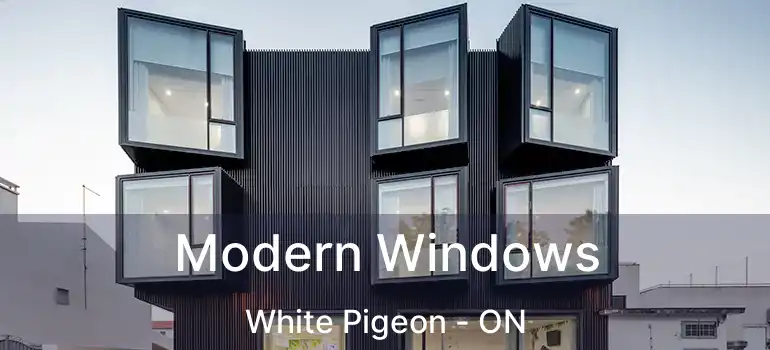  Modern Windows White Pigeon - ON