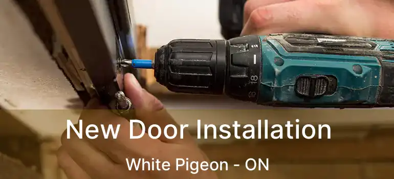  New Door Installation White Pigeon - ON