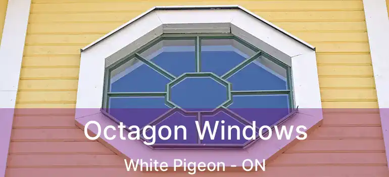 Octagon Windows White Pigeon - ON