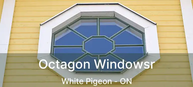  Octagon Windowsr White Pigeon - ON