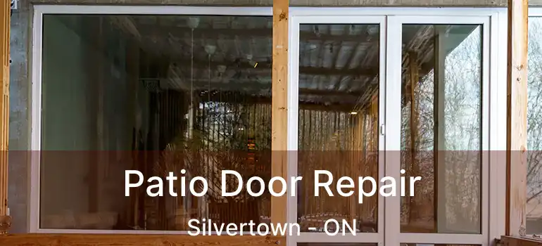  Patio Door Repair Silvertown - ON